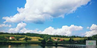 Vila Garić, Podgarić