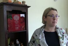 Video priča: Ruža Zagrebačke županije-Projekt posavski kukuruzni labirint Hrvatica
