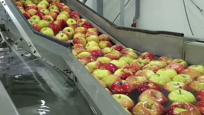 Video priča: Upoznajte Distributivni centar za voće i povrće Zagrebačke županije