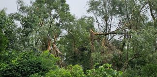 PROGLAŠENA PRIRODNA NEPOGODA ZBOG OLUJNOG I ORKANSKOG VJETRA NA PODRUČJU BBŽ