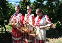 Video priča: Održana 19-ta “Jabuka crvenika”