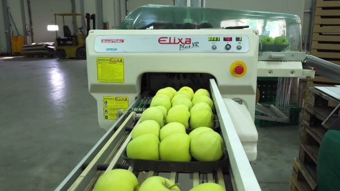 Video priča: Pričom po Zagrebačkoj županiji : Distributivni centar za voće i povrće