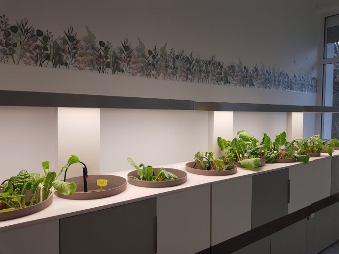 Video priča:U Lipovljanima održana završna konferencija projekta „Istražujući raSTEMo“