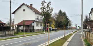 NASTAVLJA SE OZELENJIVANJE BJELOVARA – GUDOVAC DOBIVA 292 STABLA