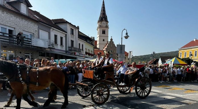 2. vozočašće: “Tradiciju ne možeš kupiti!”