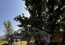 Video priča: U Dugom Selu održana manifestacija „Za planet – drvo i cvijet“