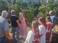 VIDEO PRIČA: 22. JABUKA CRVENIKA: OKUS TRADICIJE U VELIKOJ LUDINI